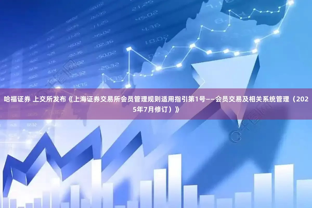 哈福证券 上交所发布《上海证券交易所会员管理规则适用指引第1号——会员交易及相关系统管理（2025年7月修订）》