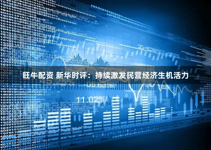 旺牛配资 新华时评：持续激发民营经济生机活力