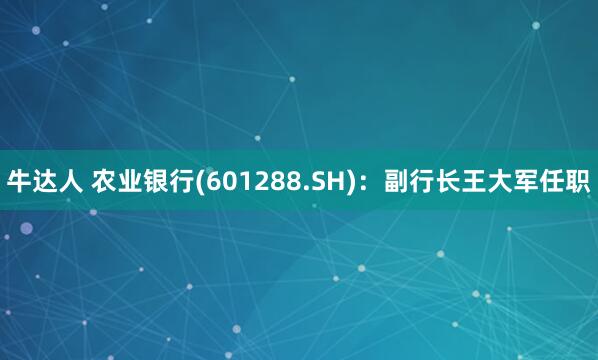 牛达人 农业银行(601288.SH)：副行长王大军任职