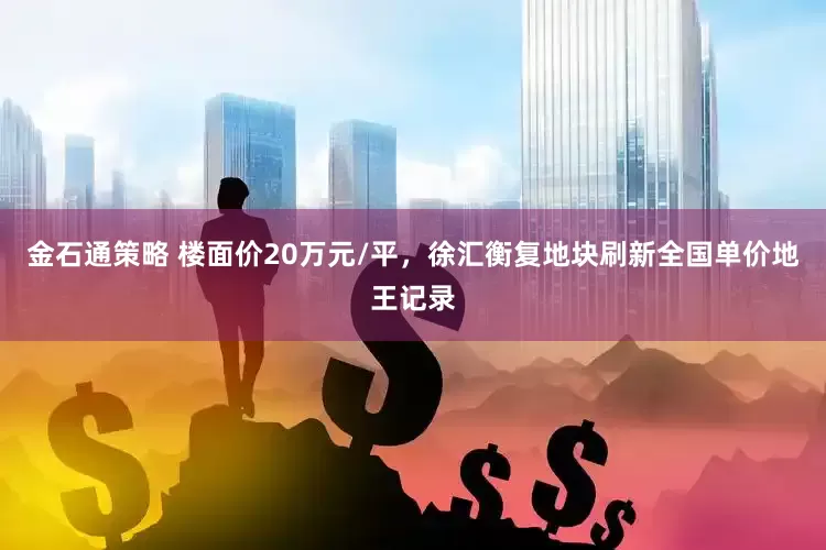 金石通策略 楼面价20万元/平，徐汇衡复地块刷新全国单价地王记录